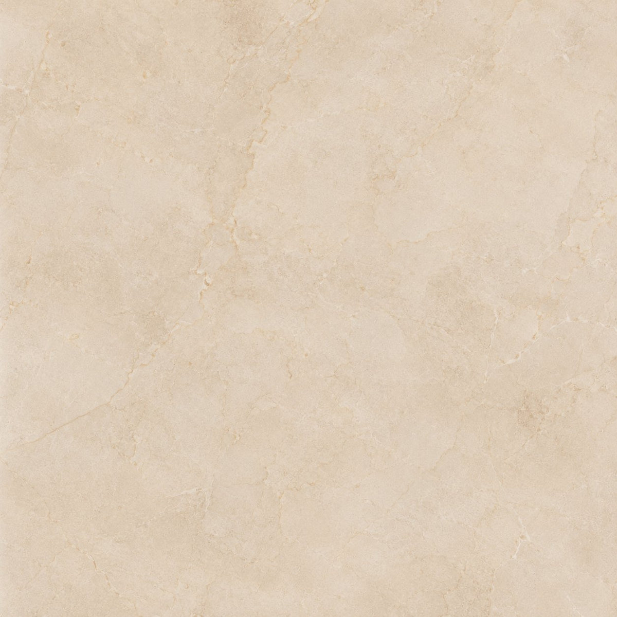 Fondo Camel