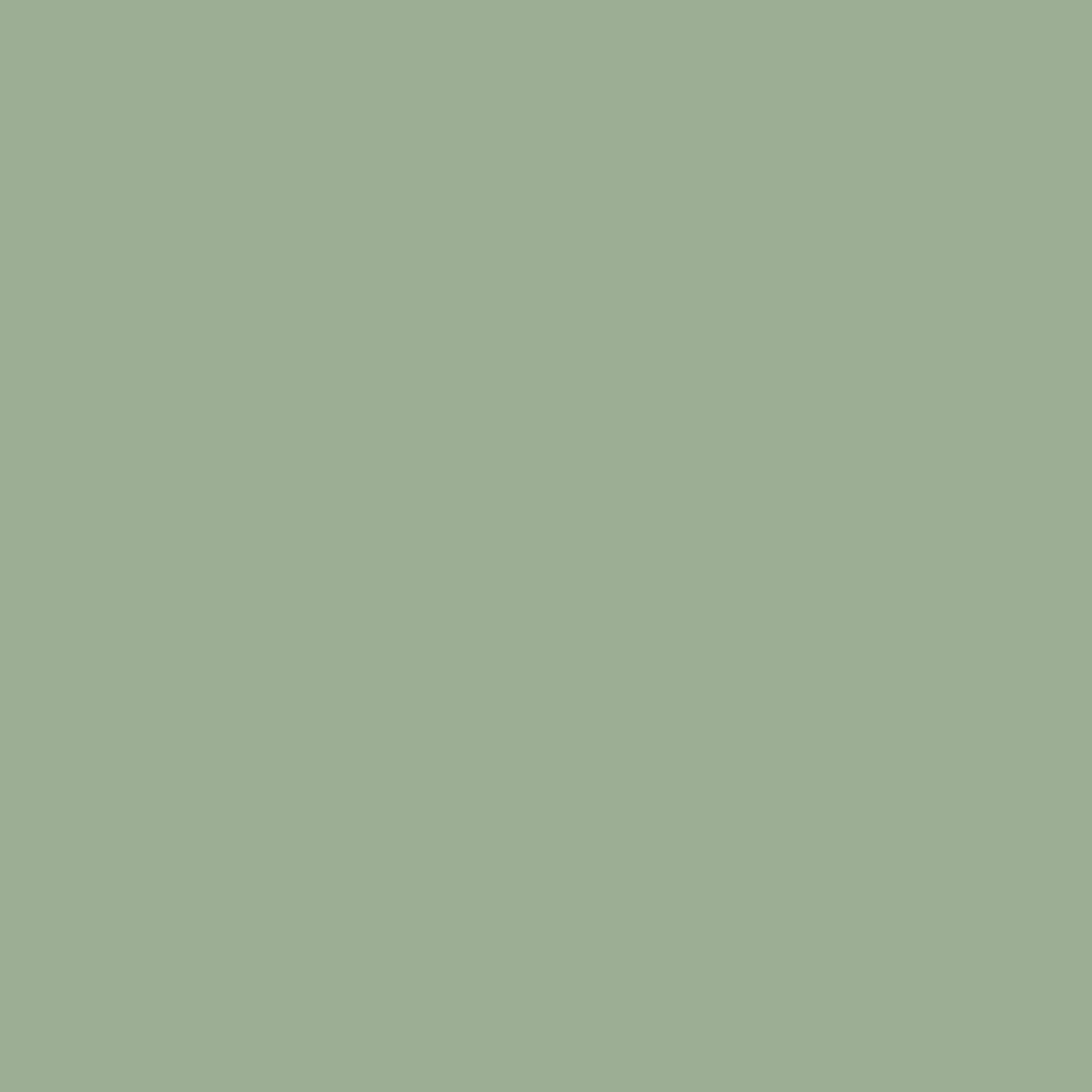 Fondo flexible Salvia