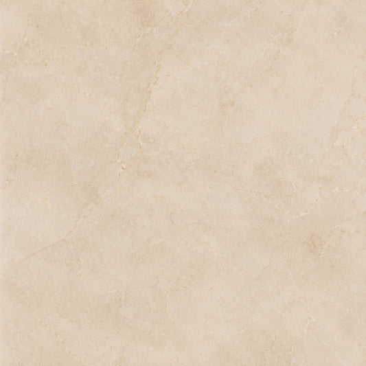 Fondo Camel