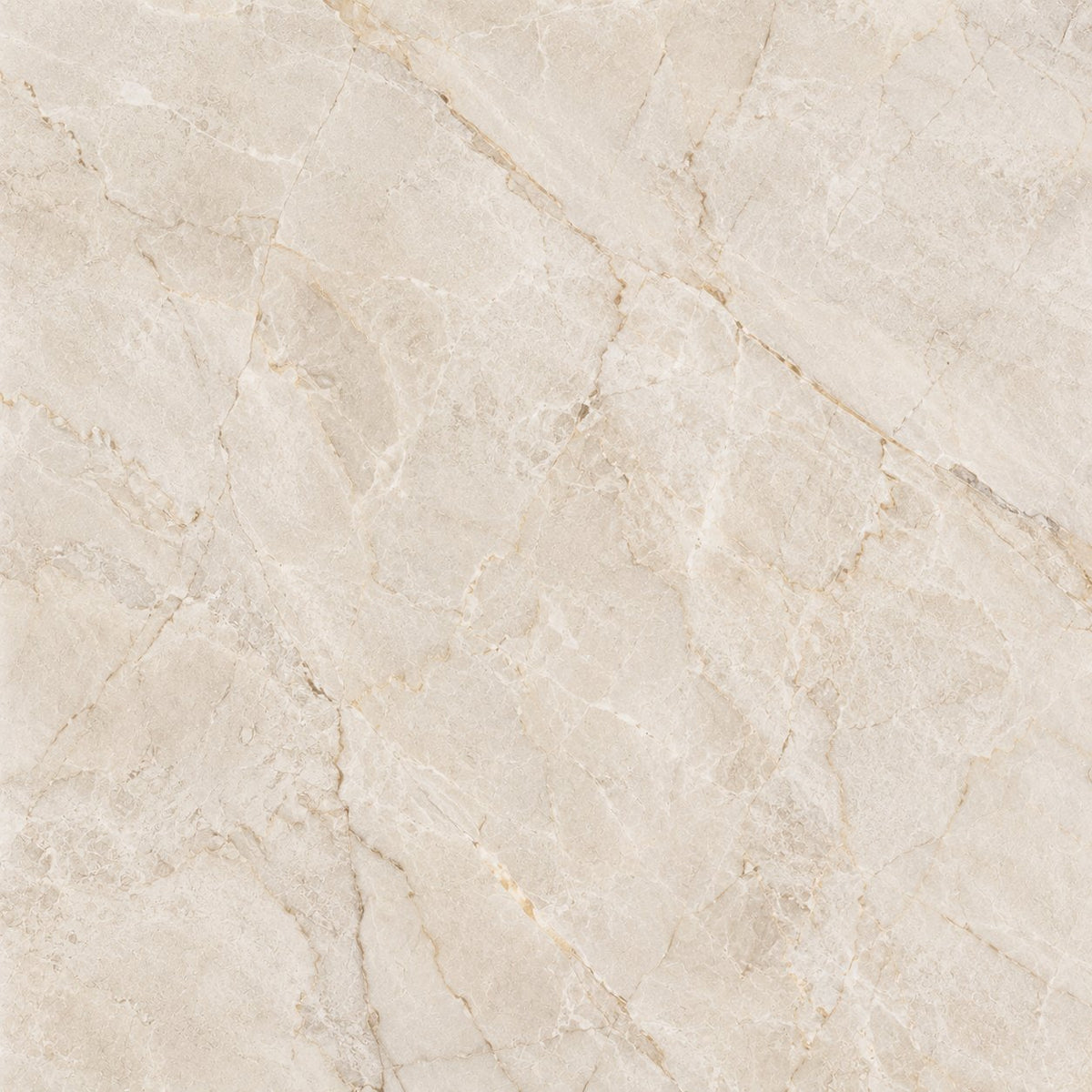 Fondo Crema Marfil