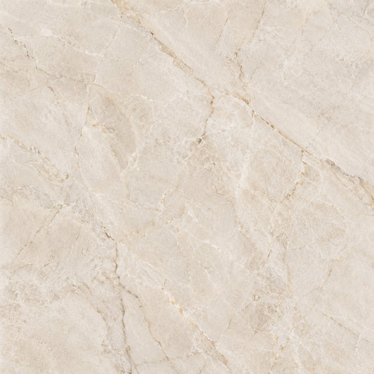Fondo Crema Marfil