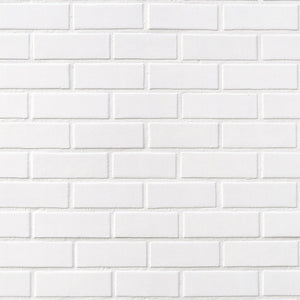 Ladrillo Blanco