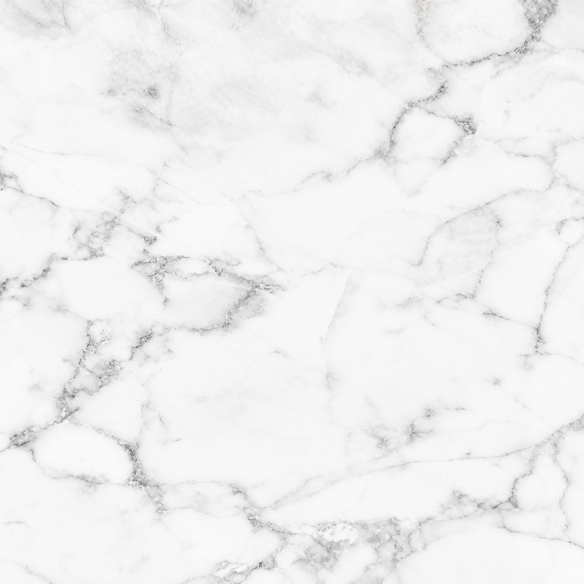 Fondo Statuario